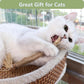 3 PCS Silvervine Sticks for Cats - Natural Cat Chew Toys for Teeth Cleaning, Kitten Teething & Aggressive Chewers