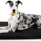 K9 Ballistics Tough Ripstop Orthopedic Dog Crate Bed - Durable Pad with Washable Cover, for Wire Crates, Tie-Downs Included, Size: XX-Large 53"x36", Obsidian Black