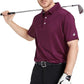 Mens Golf Shirt Moisture Wicking Dry Fit Performance Sport Short Sleeve Striped Golf Polo Shirts for Men