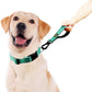 PLUTUS PET Short Dog Leash, Reflective Nylon Padded Handle, Strong Traffic Leash with Carabiner Clip, Perfect for Large or Medium Dogs (10”，Teal)
