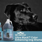 Bio-Groom Ultra-Black Dog Shampoo - Color Enhancing Pet Shampoo, Dog Bathing Supplies, Puppy Wash, Grooming Supplies, Cruelty-Free, Made in USA, Coat Brightener Shampoo - 1 Gallon
