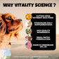 Gastro Prime Combo for Cats | Supports Normal GI Function and Improves Nutrient Assimilation