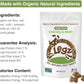 Chehalis Mint Dog Treats – Healthy, Crunchy, Vegan Biscuits with Whole & Real Ingredients – All Natural & USA‐Baked, (7 Ounce, Pack of 3)