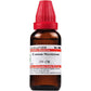 Dr. Willmar Schwabe India Conium Maculatum Dilution