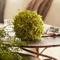 Green Moss Orb Decorative Accent