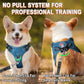 BARKBAY Dog Harness, Reflective Adjustable Step-in Vest Harness, Blue/Black, XXS
