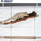 Prevue Pet Toy NAT Wonder Walk Bird Ladder, Large (62809),Brown