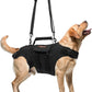 Dog Lift Harness, Full Body Support with Adjustable Control Handle for Senior Dogs, Post-Surgery Recovery & Joint Problems (Oxford Cloth, Custom Size)