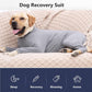 Dog Recovery Suit, Abdominal Wound After Surgery Wear, Prevent Licking Wounds, E-Collar & Cone Alternatives, Long Sleeve Postoperative Shirts Dog Bodysuit Prevent Shedding(XL, Grey)