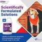 OdorPet Pet Stain Remover and Odor Eliminator - 64 Oz (Makes 2.55 Gallons of Working Solution) Non Staining, Professional Strength, Black Cherry Scent by Alpha Tech Pet