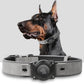 AirTag Dog Collar - Leather Dog Collar with Air Tag Holder | IPX8 Waterproof, Reflective, High - End, Adjustable Soft Padded | Dog GPS Tracker Collars Fit for Medium Large Dogs (Grey, L)