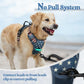 rabbitgoo Dog Harness No Pull with 2 Leash Clips, Adjustable Soft Padded, Reflective Oxford No Choke Pet Vest with Easy Control Handle for Large Dogs, Blue Star, L