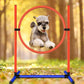 2-Set Adjustable Dog Agility Training Equipment for Backyard Set for Dogs