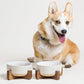 Ceramic Dog Bowl Set, 4 Cups Food and Water Bowl for Medium Small Dogs, Cute Pet Dishes with Wood Stand, Rhombus+Wave Design (Set of 2)