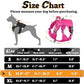 rabbitgoo Dog Harness for Large Dogs No Pull, Tactical Service Pet Vest with Molle and Control Handle, Adjustable and Reflective Military Harness for Easy Walking and Training, Rose Red, L