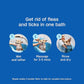 Adams Plus Flea & Tick Shampoo with Precor for Cats, Kittens, Dogs & Puppies Over 12 Weeks Of Age Sensitive Skin Flea Treatment | Kills Adult Fleas, Flea Eggs, Ticks, and Lice| 12 Ounces