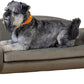 Paws & Purrs Multi-Cat Sofa Elevated Pet Bed for Indoor Cats Raised Cats Couch with Removable Washable Mattress Cover for Kittens, Dogs - 35.5" Wide, Ash