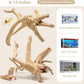 WDEFUN Natural Spiderwood for Aquarium Decor 2-Piece 11''-14'' Long Natural Driftwood Branches for Fish Tank Decorations