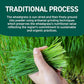 HANDPICK USDA Organic Wheatgrass Powder (10oz) Rich Green Powder - Lab Tested | 100% Whole Leaf | Gluten Free, Non-GMO | No Sugar, No Artificial Ingredients | Resealable Ziplock Pouch