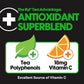 Ryl Unsweetened Black Iced Tea – Antioxidant Superblend, No Artificial Ingredients, Zero Sugar, Zero Calorie, Low Carb, Non-GMO, Kosher, Gluten Free, Made in the USA, 12-Pack, 16 Fl Oz
