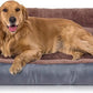 Dog Beds for Jumbo Dogs, Large Pet Beds Machine Washable, Soft Dog Sofa Bed with Non-Slip Bottom
