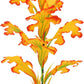 2-Pack 12 Inch Aquarium Silk Aquarium Plants, Artificial Plastic Plant for Small Tank, Goldfish, Fish Hides (Yellow, 12 Inch)