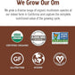 OM MUSHROOM SUPERFOOD Coffee Blend Mushroom Powder, 6.24 Ounce Canister, 30 Servings, Organic Arabica Beans, Lion's Mane, Cordyceps, Turkey Tail, Ginkgo Biloba, Supports Energy and Focus