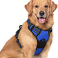 rabbitgoo Dog Harness No Pull with 2 Leash Clips, Adjustable Soft Padded, Reflective Oxford No Choke Pet Vest with Easy Control Handle for Large Dogs, Dazzling Blue, XL