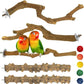 kathson 5pcs Natural Parrot Perch for Cage Wooden Bird Perches Grape Bird Stick Parakeet Climbing Standing Branches Toy Chewable Cage Accessories for Small Budgies Cockatiels Lovebirds Budgies
