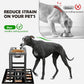 Elevated Dog Bowls for Large Extral Large Breed, Raised Bowl Stand with 2 Stainless Steel Bowls (101oz) and Spill-Proof Mat, 17" Tall Dog Feeder for Extra Large Breeds