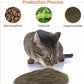 Catnip & Silvervine Powder – 30g Blend of Silvervine Gall Fruit & Catnip, Non-Addictive, for All Cat Ages, Multi-Use with Toys, Scratchers & Protecting Furniture, with 5 Little Pouches