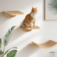 Wood Cat Wall Shelves with Sisal Mat – Cats Wall Furniture Steps for Large Cats, Perfect for Play and Vertical Movement