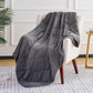 L'AGRATY Weighted Blanket - 48"x72" 15lbs Soft Breathable Heavy Blanket Minky Material with Glass Beads for Adult All-Season Summer Fall Winter Soft Thick Comfort