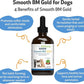 Pet Wellbeing Smooth BM Gold for Dog & Cats - Constipation Relief & Stool Softener, Supports Healthy Bowel Movements - Natural Herbal Supplement 4 oz (118 ml)