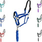 Majestic Ally Leather Halter with Matching Lead Rope for Horses – Leather Breakaway Crown - Adjustable Chin Strap – Rolled Throat Latch – Padded Noseband – Full (Royal Blue, Full)