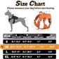 rabbitgoo Dog Harness Medium Sized No Pull, Tactical Service Pet Vest with Molle and Control Handle, Adjustable and Reflective Military Harness for Easy Walking and Training, Orange, M
