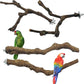 Allazone 4-Piece Bird Perch - Natural Grapevine Stick Swing Chewing Toys for Parrot Cages, Cockatiels, Parakeets, Finches