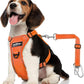 Dog Seat Belt Harness for Car, Dog Car Harness Adjustable Mesh Breathable & Dogs Seatbelt Safety Tether with Elastic Bungee for Small Medium Large Pets(Orange, S)