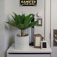 Spoiled Hamster Sign Decor & Cage Accessory (5" X 10")