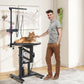 Electric Hydraulic Lift Pet Dog Grooming Table, 24Inch 360° Rotating Grooming Desktop for Small Dogs, with Overhead Arm, Wireless Remote, Tool Organizer, Black