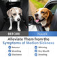 Anti-Motion Sickness and Nausea Relief for Medium Breed Dogs, Relief for Disorientation and Dizziness, 20 Tablets