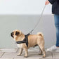 Didog No Pull Dog Harness with Breathable Mesh Padded, Full Reflective & Quick Fit Adjustable Vest Harness, Easy for Training Walking for Small & Medium and Large Dogs (Black, M:Chest 21-26")