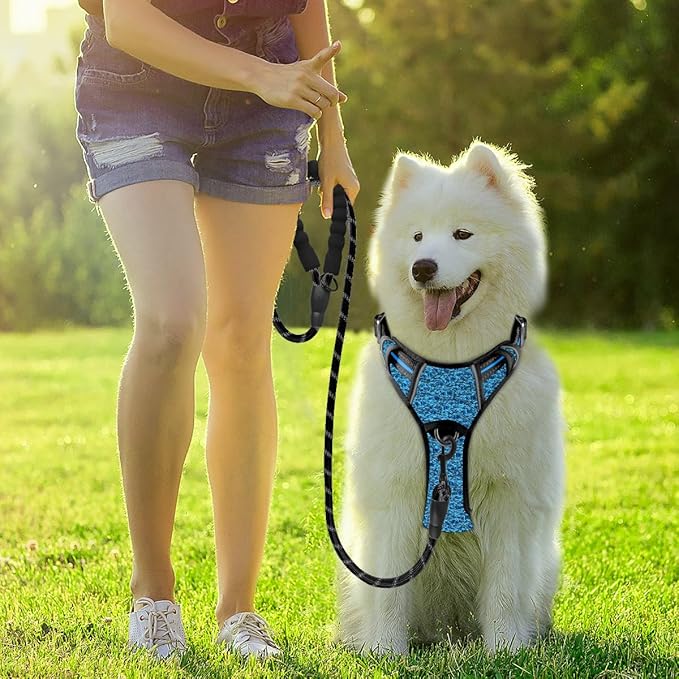 BARKBAY Dog Harness No Pull with ID Tag Pocket - Heavy Duty, Reflective, Easy Control for Large Dogs(Blue/Black,L)