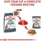 Royal Canin Digestive Care Chunks in Gravy Adult Wet Cat Food, Pouches 3 Oz(Pack of 12), Chicken flavor