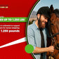 Ivermectin Horse Paste 1.87% – Apple Flavored – 6.08g Tube – for Horses Up to 1250 lb - 1 Pack