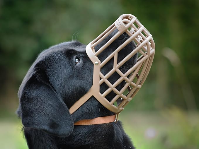 Leather Brothers Italian Basket Dog Muzzle, Adjustable Secure Fit, Comfortable Design, Training and Safety, Averts Biting, Prevents Chewing and Scavenging, Perfect for Grooming - Tan, Size 4