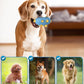 Interactive Dog Toy with Natural Rubber Soccer Design, Dental Care, Pet Energy Relief Brain Teaser Toy, Activity Training Foraging Toy, Mentally Stimulating Slow Feeder Dog Treat Dispenser Blue