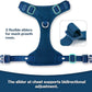 No Pull Dog Harness for Small Medium Large Dogs - Adjustable Two-Layer Mesh Dog Vest with Dual Clip, Escape Proof, Quick Release, Lightweight Breathable Mesh for Walking Hiking (Prussian Blue,S)