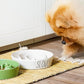 Ceramic Elevated Slow Feeder Dog Bowl - 0.6 Cup Puzzle Feeder with Wooden Stand for Small Breeds, White Pet Dish