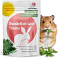 Snout and Shell Dandelion Leaf Treat for Small Pets – 1 oz (28g) | High-Fiber, Natural Foraging Snack for Rabbits, Guinea Pigs, Chinchillas, Squirrels & More
